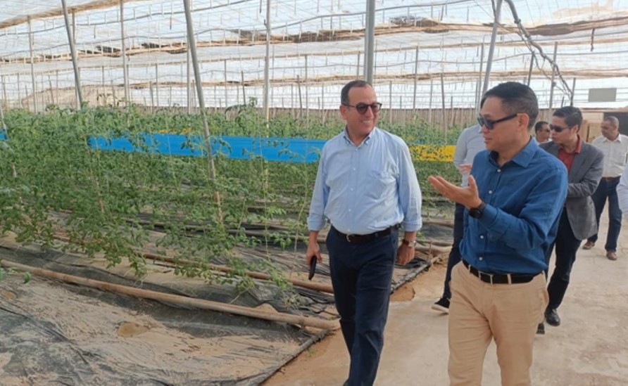 algerias province wants to promote hi tech agriculture with vietnam