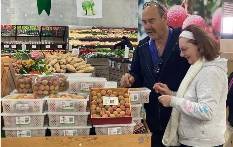 vietnam news today nov 20 russia vietnam seek to bolster import and export turnover