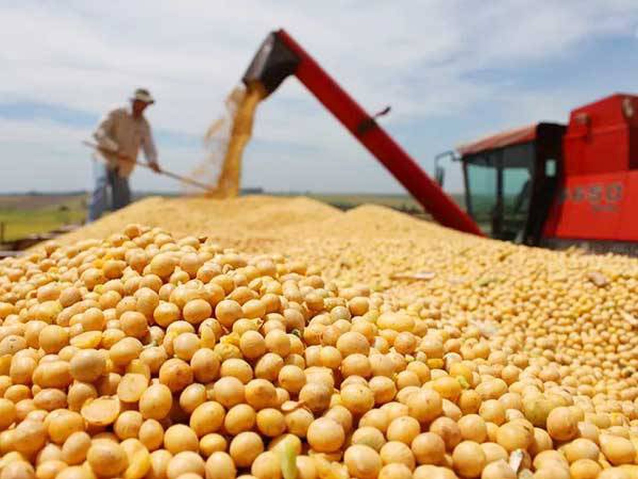brazil tops vietnams soybean suppliers