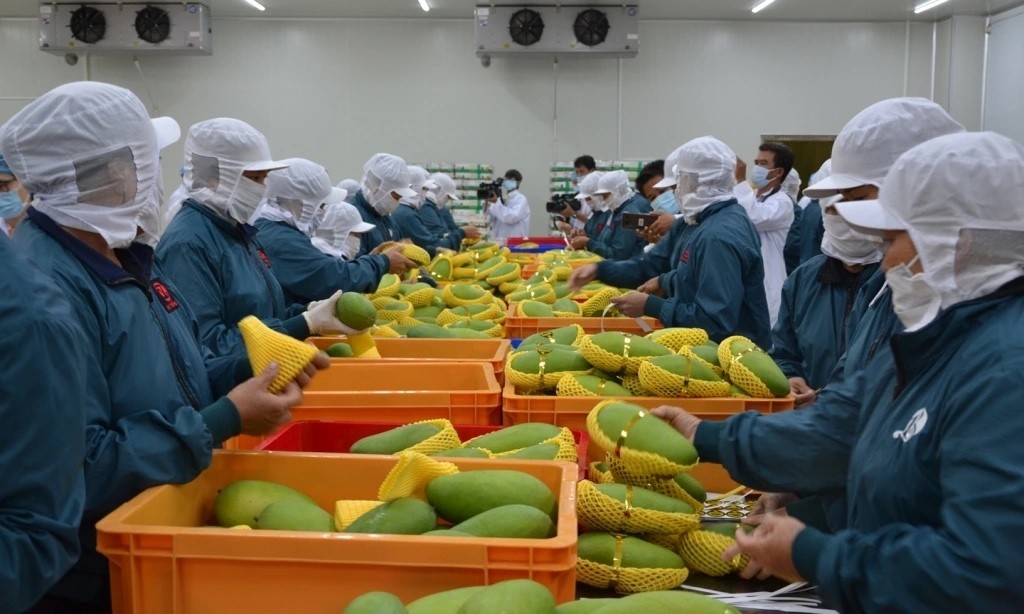 vietnam news today dec 10 vietnam china trade turnover reaches nearly us 200 billion