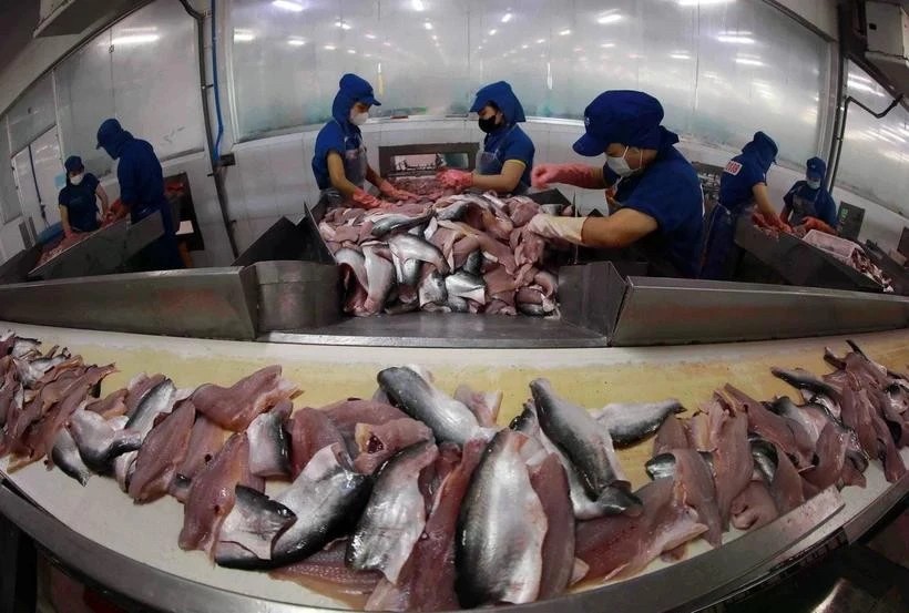 vietnam news today dec 26 adb maintains positive outlook for vietnamese economy in 2025