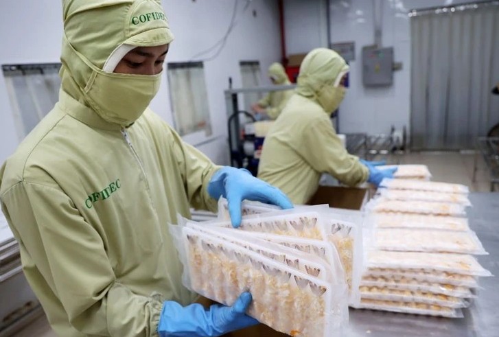 economic diplomacy solid foundation for elevating vietnam singapore relations