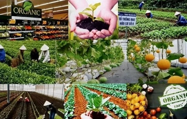 vietnam news today jan 27 nordic green transition creates new opportunities for vietnamese businesses