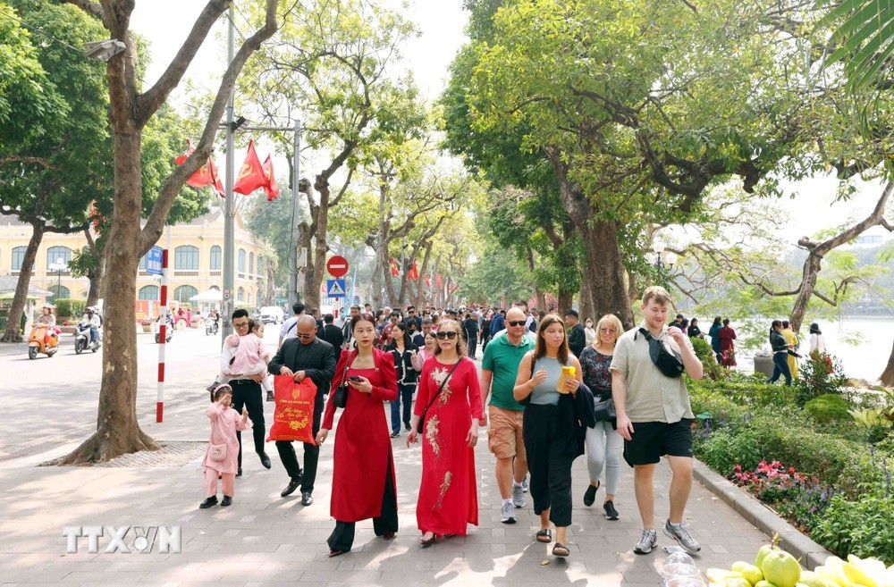 Spring Travels Across Vietnam