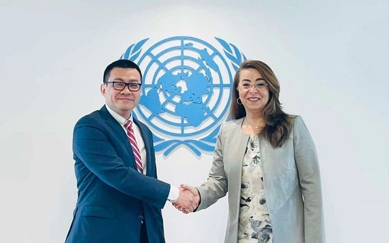 UN Deputy Secretary-General and UNODC Executive Director Ghada Fathi Waly meets with Ambassador Vu Le Thai Hoang (Photo:VGP)