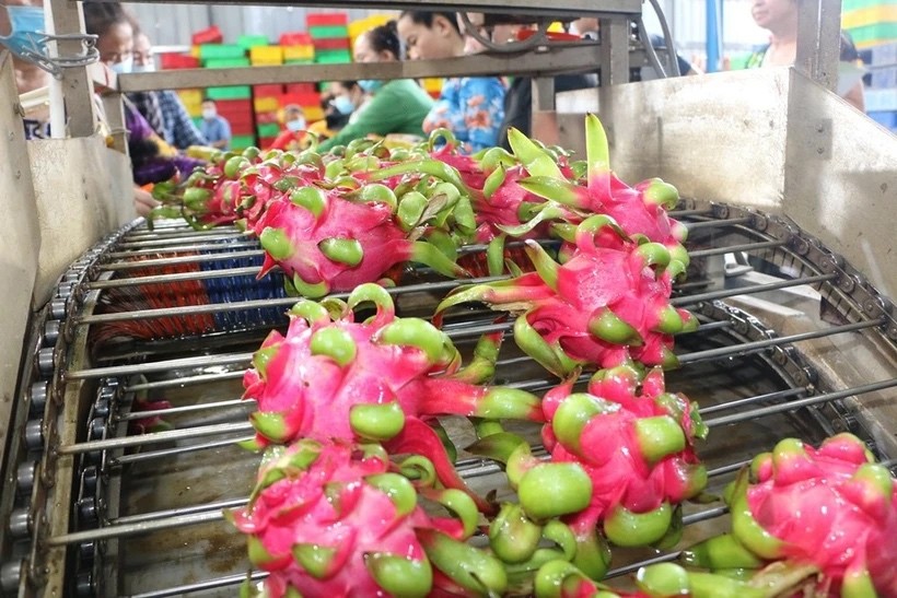 Vietnam News Today (May 2): Overseas Vietnamese Help Vietnamese Products Go Global