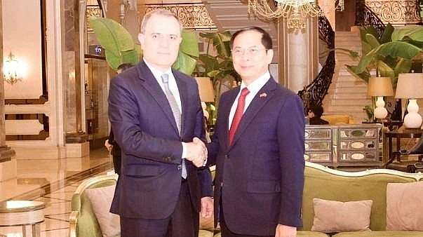 Deputy Prime Minister Bui Thanh Son meets with Azerbaijani Foreign Minister Jeyhun Bayramov.