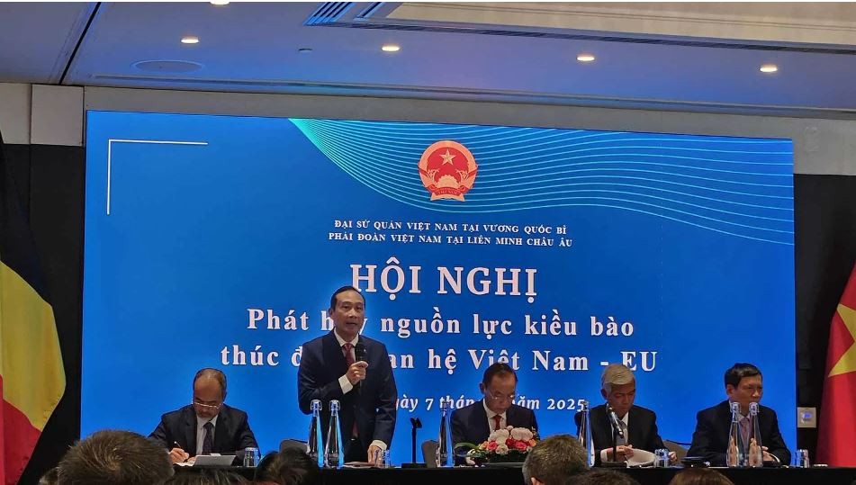 Viet Overseas Intellectuals Join Hands to Promote Vietnam - EU Cooperation
