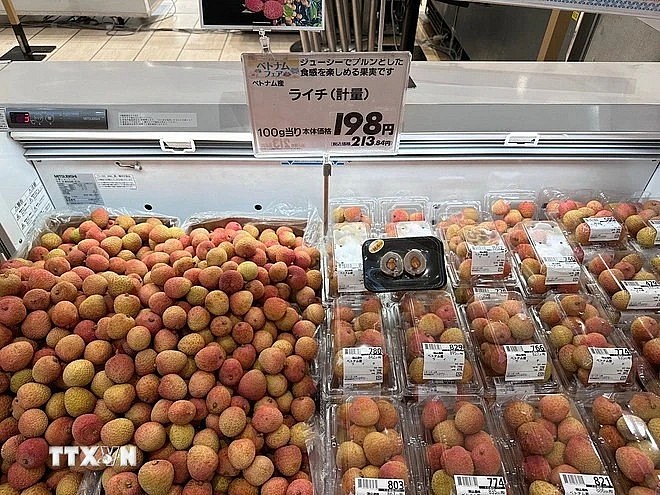 Fresh Vietnamese lychees are being sold at an Aeon supermarket in Japan. (Photo: VNA)