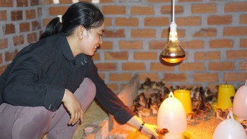 Phu Yen: 11,000 Residents Benefited from MCNV's Project