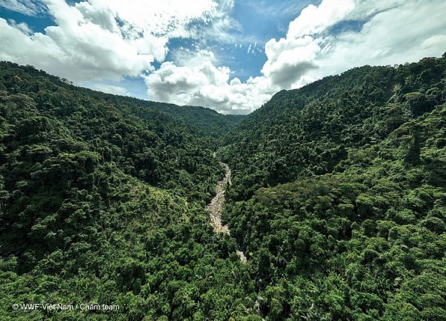 WWF Supports Quang Tri in Biodiversity Conservation