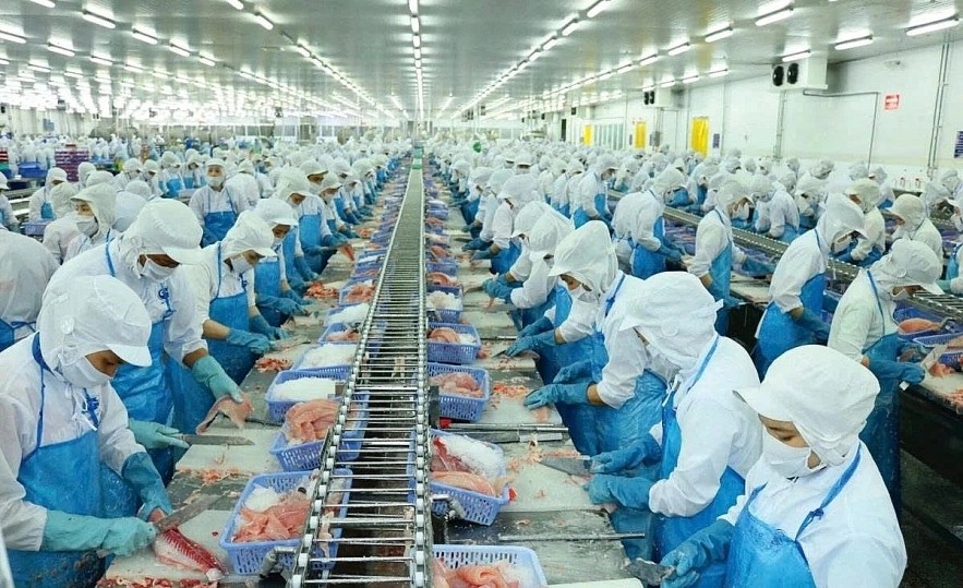 Processing frozen shrimps for export in southern Vietnam.