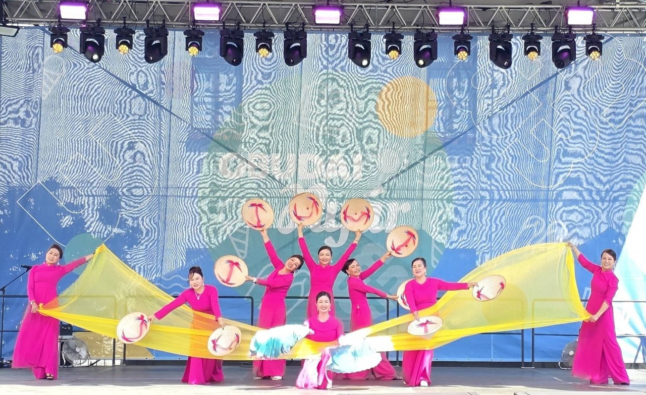 Various Vibrant Vietnamese Cultural Activities Held in Budapest, Hungary