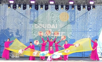 Various Vibrant Vietnamese Cultural Activities Held in Budapest, Hungary