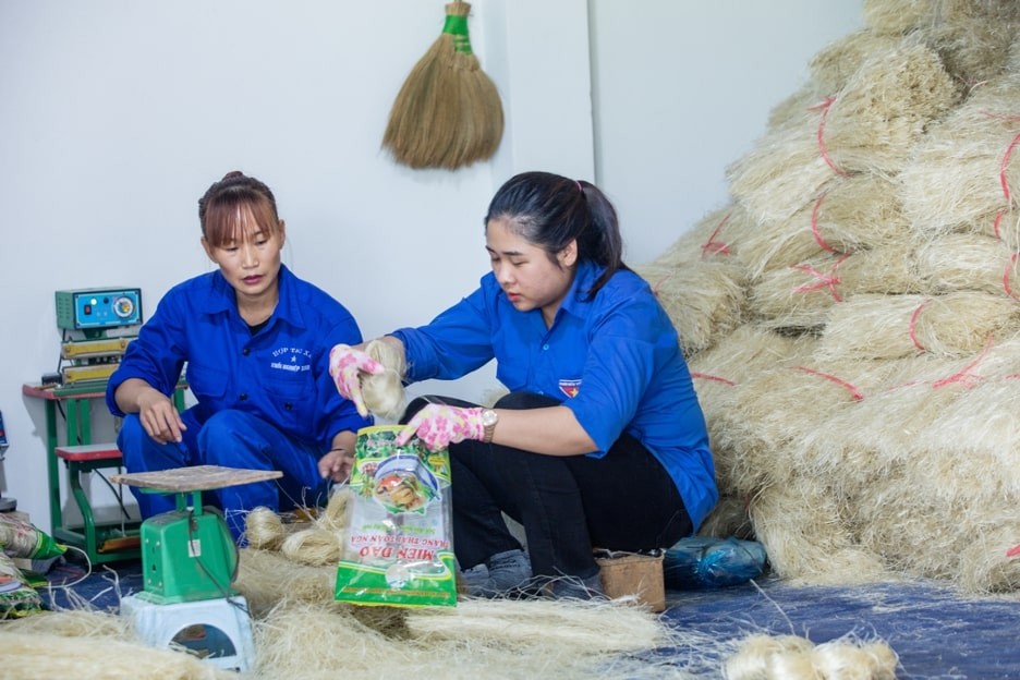 Empowering Vietnamese Youth to Pursue Entrepreneurial Dreams