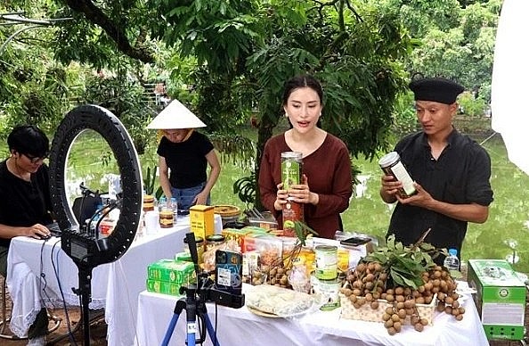 Content creators help farmers in Hung Yen province promote and sell longan and OCOP agricultural products on TikTok.