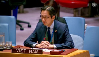 Vietnam Calls for Reinforcing Multilateralism and Peaceful Settlement of Disputes