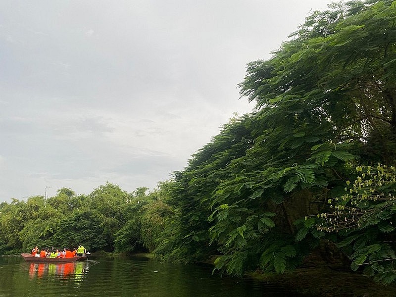 Co Island Ecotourism Site, Hai Phong. Co Island Ecotourism Site, Hai Phong.