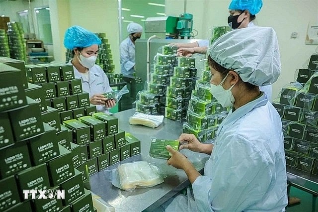 Production of herbal-based products at Lam Dong Pharmaceutical JSC. (VNA/VNS Photo) Production of herbal-based products at Lam Dong Pharmaceutical JSC. (VNA/VNS Photo)