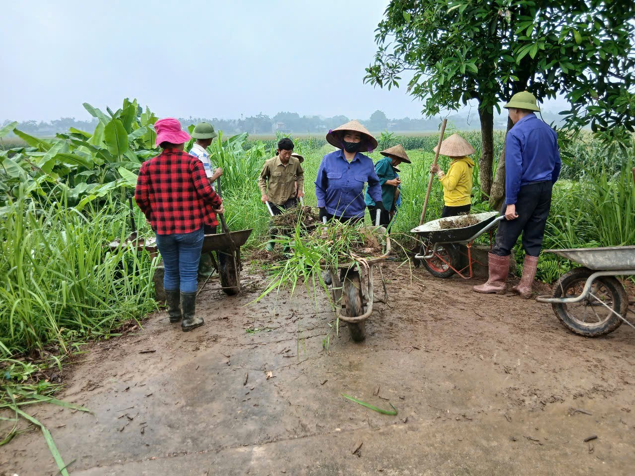 Disaster Response Must Combine Emergency Relief with Sustainable Livelihood Recovery