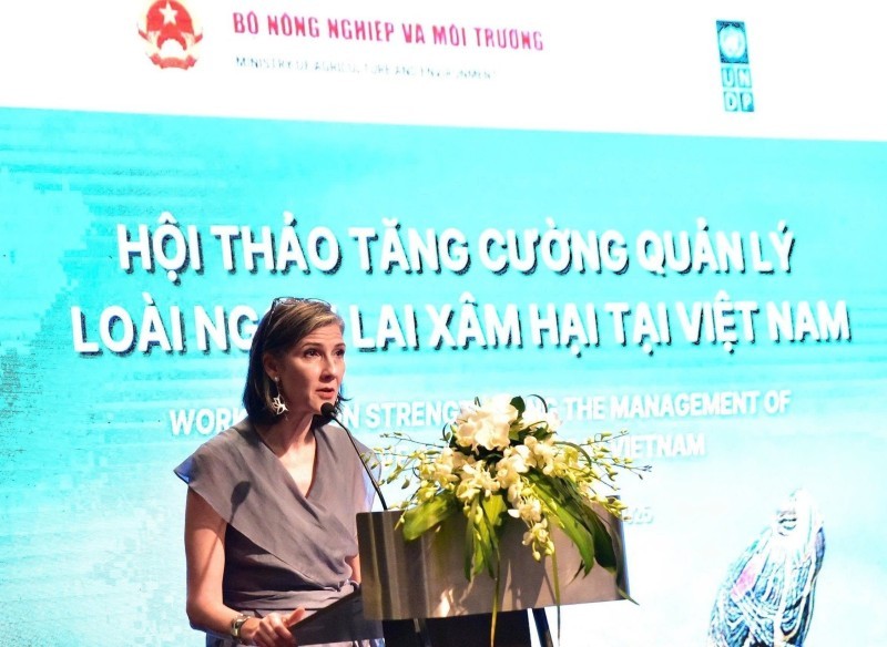 Resident Representative of the United Nations Development Programme (UNDP) in Vietnam Ramla Khalidi speaks at the workshop (Photo: VOV)