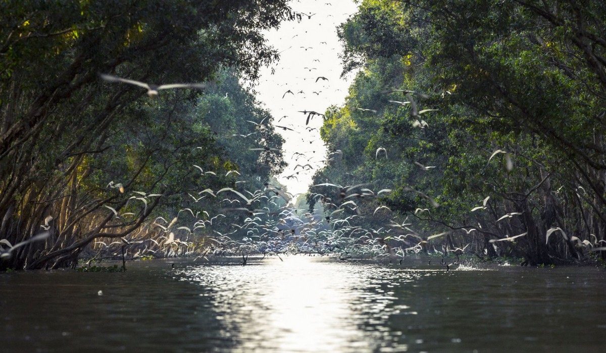 Vietnam Strengthens Cross-Sector Fight against Invasive Species to Meet Biodiversity Goals
