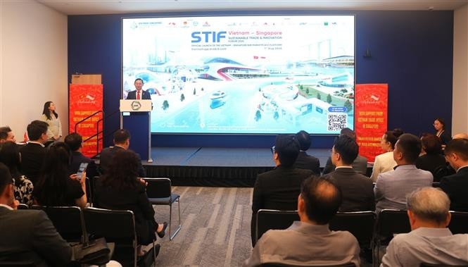 Vietnam News Today (Aug. 3): Vietnamese, Singaporean Businesses Boost Digital Connectivity
