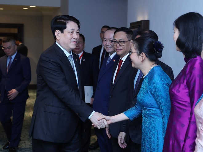 Consolidating political trust between Vietnam and African countries to expand cooperation: State President