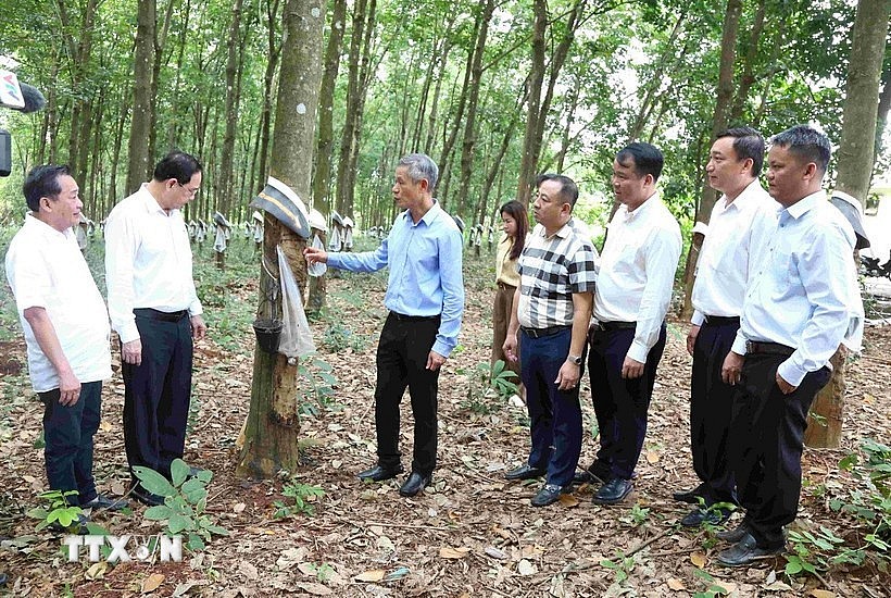 Vietnam News Today (Aug. 10): ss Vietnam News Today (Aug. 10): ss