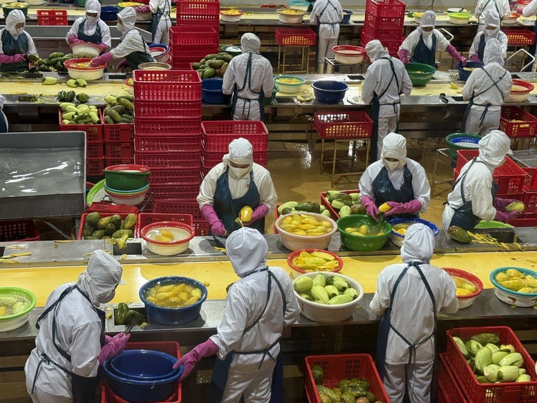 Agricultural, Forestry And Fishery Exports In Vietnam Reached Nearly 40 Billion USD