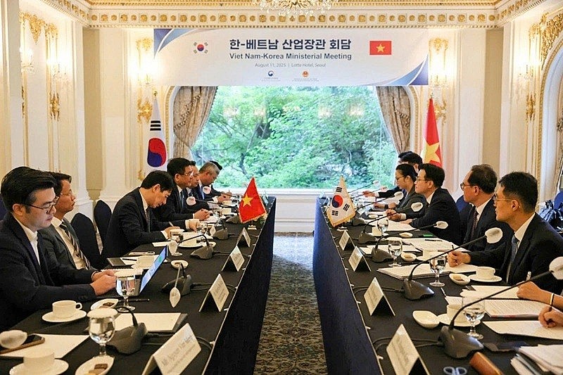 Vietnam News Today (Aug. 12): Vietnam grants 45-day visa waivers to citizens from 12 countries