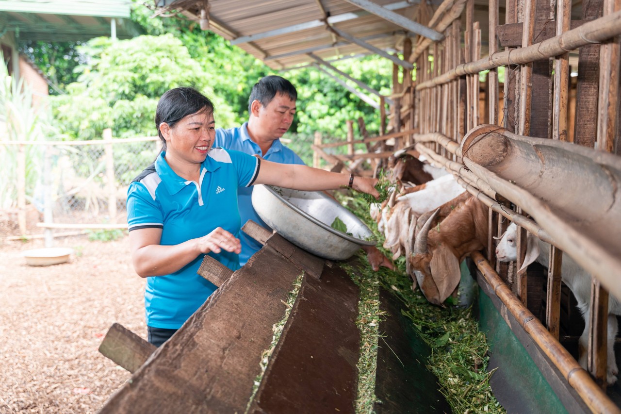 Support For 16,000 Women And Ethnic Minority Communities In Dak Lak To Improve Livelihoods