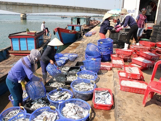 Seeking Solutions to Boost Agro-Forestry-Fishery Exports By Year-End In Vietnam