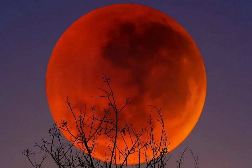 The blood moon creates a dramatic and rare spectacle. Photo: NewScientist