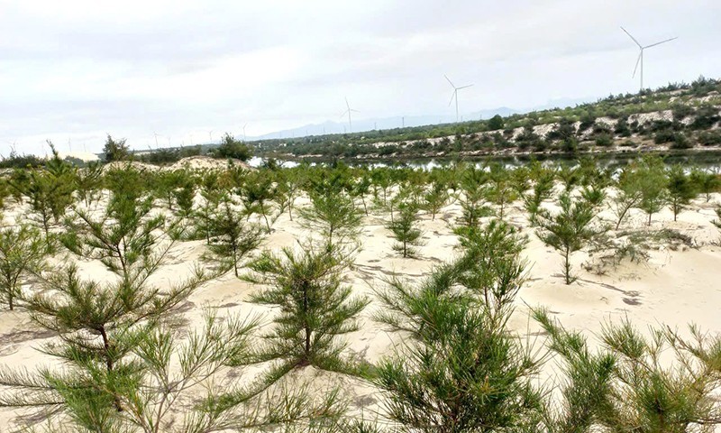 Primaklima e.V. Supports Quang Tri in Enhancing Biodiversity