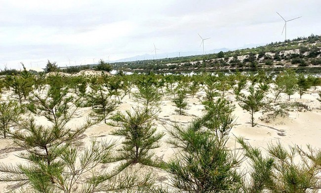Primaklima e.V. Supports Quang Tri in Enhancing Biodiversity