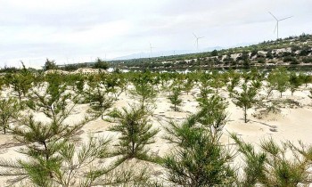 Primaklima e.V. Supports Quang Tri in Enhancing Biodiversity