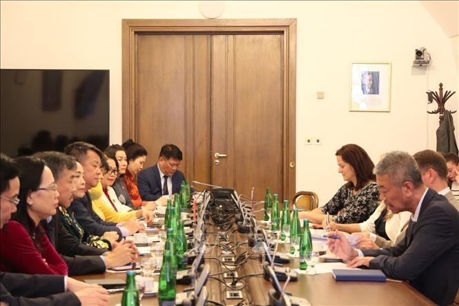 Vice Chairwoman Nguyen Thi Thanh held talks with Deputy Speaker of the Chamber of Deputies of the Czech Republic Jan Skopecek. (Photo: Viet Thang/VNA)