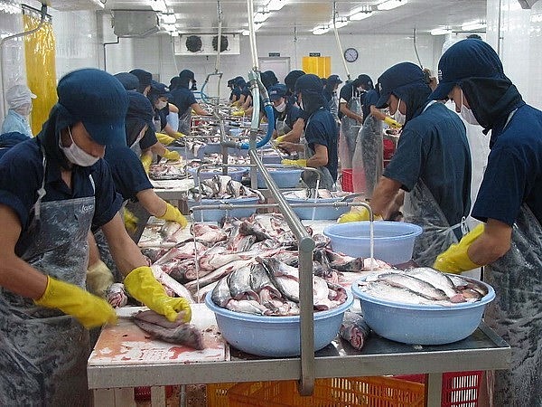 ADB Raises Vietnam's Economic Growth Forecast This Year To 6.7%