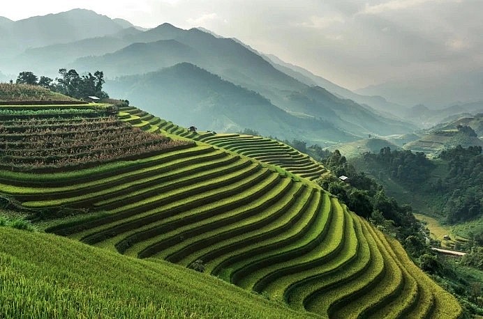 Condé Nast Travel praises Vietnam for its lush terraced rice fields, ancient towns, and emerald bays (Photo: Getty)