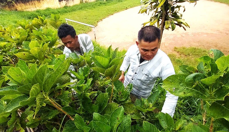 A Second Chance: Amnesty Reflects Vietnam’s Tradition of Compassion