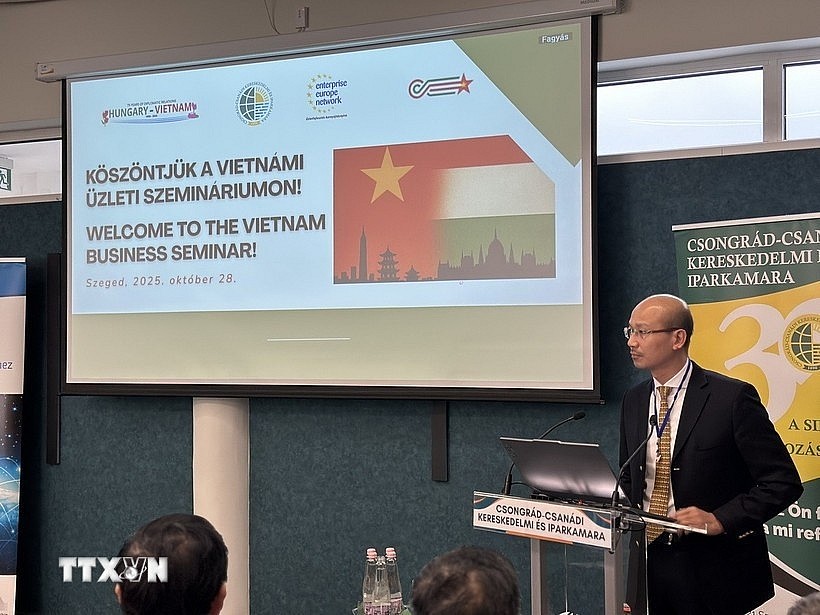Vietnamese Ambassador to Hungary Bui Le Thai speaks at the seminar on trade promotion between the two countries in Szeged on October 28, 2025. (Photo: VNA)