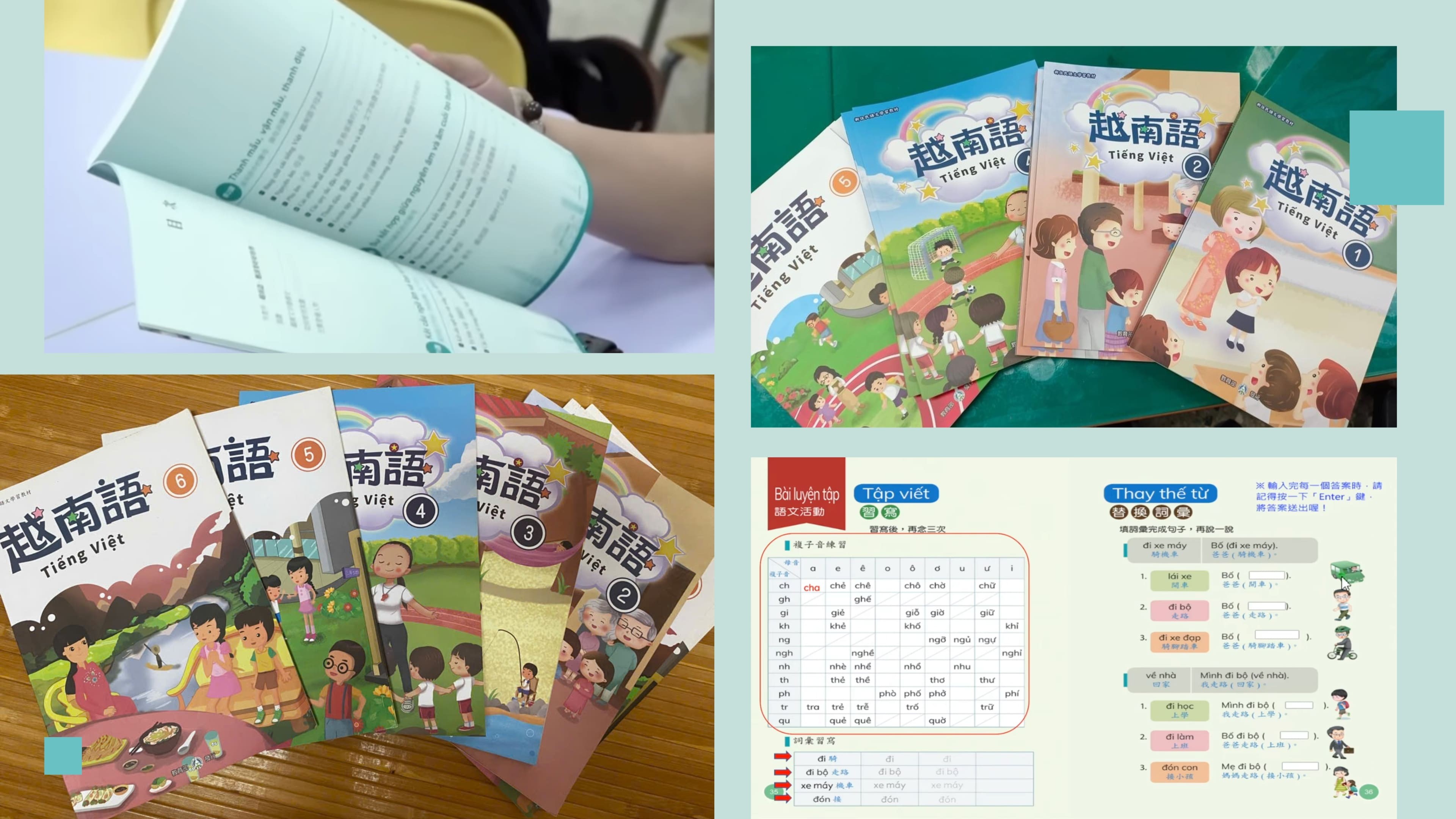 Dr. Nguyen Thi Thanh Ha: Two Decades of Nurturing Vietnamese Language  in Taiwan (China) Dr. Nguyen Thi Thanh Ha: Two Decades of Nurturing Vietnamese Language  in Taiwan (China)