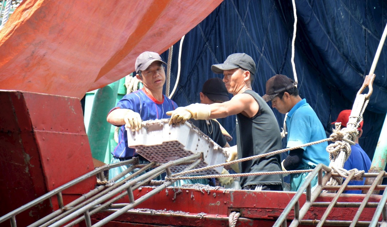 Fishermen unload seafood at Lach Quen Fishing Port. Fishermen unload seafood at Lach Quen Fishing Port.