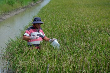 WVIV And Australia Help Mekong Farmers Adapt To Climate Change