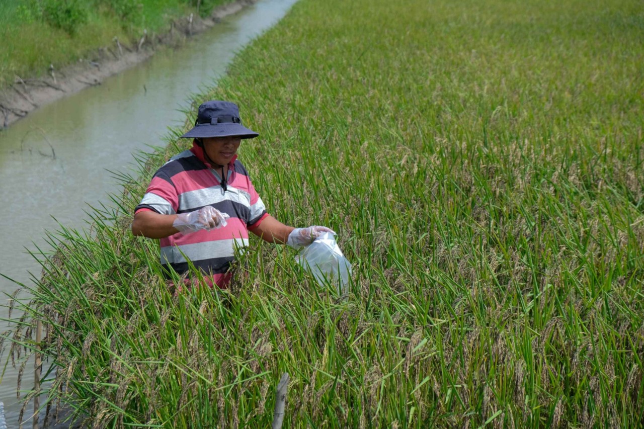 WVIV And Australia Help Mekong Farmers Adapt To Climate Change