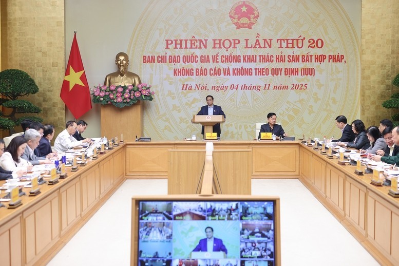 Lifting EC’s “Yellow Card”: Reviewing Fishing Fleets, Digitizing Data, and Handling Violations