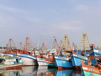 Ho Chi Minh City Records No IUU Fishing Vessel Violations
