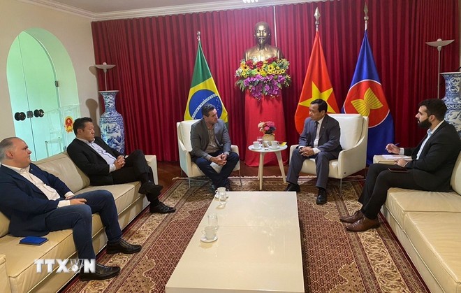 Vietnam and Brazil Promote Multi-sectoral Cooperation