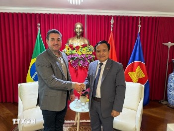 Vietnam and Brazil Promote Multi-sectoral Cooperation